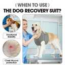 BRKURLEG Chest Recovery Suit for Dogs, Dog Chest Wound Cover, Breathable & Soft Pet Surgery Recovery Suit, Anti-Licking Wound Vest, Not for Spay/Neuter Surgeries, Pet Cone Alternative, Grey XL
