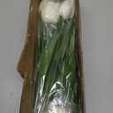 Yastouay 12-Pack White Tulips Artificial Flowers, Real Touch Latex Faux Tulips with Large Full Buds, Lifelike Vibrant Fake Tulips Bouquet for Spring Wedding Home Dcor, Table & Party Centerpiece