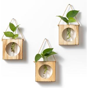 · GARDEN REPUBLIC · Propagation Stations Set of 3 - Propagation Vases for Plants - Hanging Wooden Wall Planter and Glass Test Tubes - Indoor Plant Holder, Hydroponic Decor
