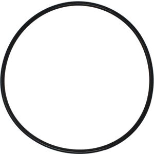 AppliaFit Body O-Ring Compatible with Pentair 87300400 for Clean & Clear, Predator, EasyClean and Warrior Filter Tank Systems (1-Pack)