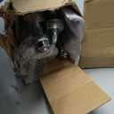 Helper Spring Kit 500 LBS Heavy Duty for Pickup Trucks SUVs & Trailers