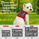 Dog Harness for Puppy Adjustable Reflective Easy Put On Soft Mesh Vest for Small Dogs with 2 Patches (Burgundy Red,S)