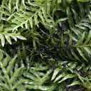 Artificial Hanging Plants with Basket 2PCS Fake Boston Fern Baskets Outdoor