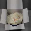 Qeils Wearable Blanket Hoodie for Women, Comfy Sherpa Sweatshirt Blanket as Birthday Christmas Gifts, Oversized Pullover Jacket Blanket Hoodie for Adult (Llama, Adult)