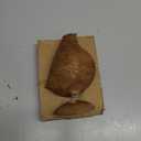 Amazon.com: Hymmah Chicken Statue Home Decor Rustic Home Decorations for Living Room, Boho Sculpture Resin Animal Collectible Figurines for Indoor Decor : Home & Kitchen