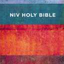 NIV, Value Outreach Bible, Paperback