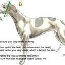 Martingale dog collar for Greyhound Saluki Whippet and other breeds with similar neck 2" wide (L 14"-18")