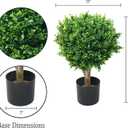 Hedyotis Topiary Artificial Trees - Set of Two 24-Inch-Tall UV-Resistant Shrubs - Indoor/Outdoor Fake Plants for Front Porch Decor by Pure Garden