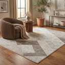RUG BRANCH Nomad 4'x6' (Exact Size: 3'11" x 5'7") Abstract Indoor Area Rug, Beige Brown, Modern - Living Room, Bedroom, Dining Room, and Kitchen