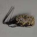 JAKY-Global Babys Breath Fabric Cloth Artificial Flowers 12 Bundle European Fake Silk Plants Decor Wedding Party Decoration Bouquets Real Touch DIY Home Garden (Champagne-12 pcs)