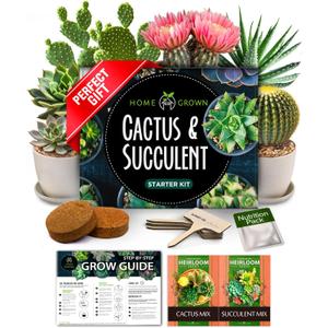 HOME GROWN Succulent & Cactus Seed Kit for Planting  [Enthusiasts Favorites] Premium Cactus & Succulent Starter Kit: 4 Planters, Drip Trays, Markers, Seeds Mix, Soil - DIY Gift Kits