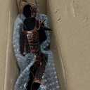 Antique Bronze Rain Chain with Rainbow Trout for Heavy Rain, Functional and Decorative Replacement Downspout Chain for Outside, Rain Catcher Chain for Gutters, 8.5FT