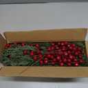 Watayo 60 Pcs Christmas Artificial Pine Branches with Red Berry Stems, 10.5" Faux Evergreen Norfolk Pine Cypress Leaves Stems, Fake Foliage Pine Needles Picks for DIY Craft Garland Home Decor