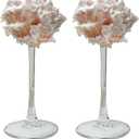 2Pcs Seashell Wine Glasses Wedding Wine Glasses Conch Goblet Martini Cocktail Glass Cup for Birthday Wedding Beach Bridesmaids Anniversary Party(C)
