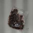 Toyvian Plastic Cricket Prank Props, Scary Pranks for Adults, Fake Realistic Cricket Fun Prop for Halloween Party Favor, Kids 50 Pieces (4.50X4.00X0.60CM)