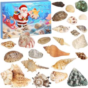 Seashells Advent Calendar 2025, 24 Day s of Christmas Countdown Gift, Marine Shell Collection Educational and Scientific Gifts for Learning, Ideal for Ocean Enthusiasts