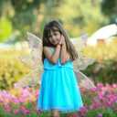 Lizxun Fairy Wings for Women Girls Butterfly Fairy Wings for Sparkle Princess Wings Halloween Cosplay Costumes Party Favor (One Size, Silver)