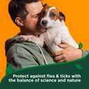 Vet's Best Natural Flea and Tick Easy Spray for Dogs  Cotton Spice Scent  Natural Flea & Tick Prevention  Kills Pests on Contact  Plant-Based Formula  Made in USA  14 oz