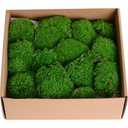 TurelinnG Preserved Moss Decor - Real Fores