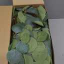 Giegxin 300 Pcs Artificial Eucalyptus Stems Leaves Bulk 11.8 Inches Tall Silver Dollar Eucalyptus Fake Greenery Stems Faux Plant for Floral Arrangement Vase Gray Green Leaves Decor Wedding