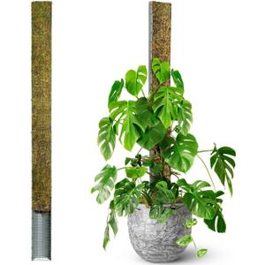 DUSPRO 59 D-Shape Moss Pole for Climbing Plants Monstera Moss Plant Pole Handmade Moss Stick for Indoor Plants Grow Upward (59'', 1pc.)