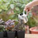 34 oz/ 1000 ml Copper Cute Watering Can Set for Indoor Plants - Indoor Watering Can with 18 oz/ 530 ml Mister Spray - Silver Stainless Steel Watering Can - Modern Metal Water Can