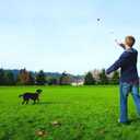 Chuckit! Pro 26XL Dog Ball Launcher, 26" Length, XL (3.5" Ball) For Dogs Over 100 Pounds