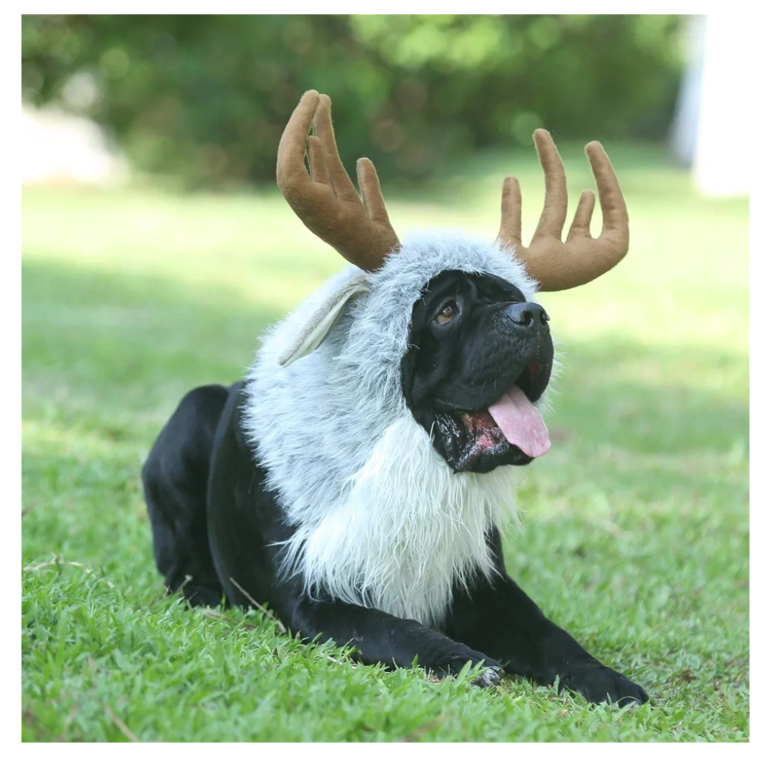 Onmygogo Funny Dog Halloween Costumes, Cute Furry Pet Wig for Halloween Christmas, Pet Clothing Accessories (Moose, Size M)
