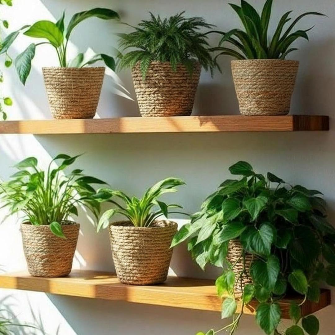 AceOrbit 6 Pcs Seagrass Plant Basket with Plastic Liners Woven Stylish Planter Baskets Bulk Indoor Outdoor Plants Woven Wicker Baskets for Flower Pots Cover and Room Decor Small (Small,Rustic)