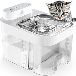 HAPAW Dog Fountain