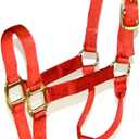 Hamilton 1-Inch Nylon Quality Halter for 1100 to 1600-Pound Horse, Large, Red Brick