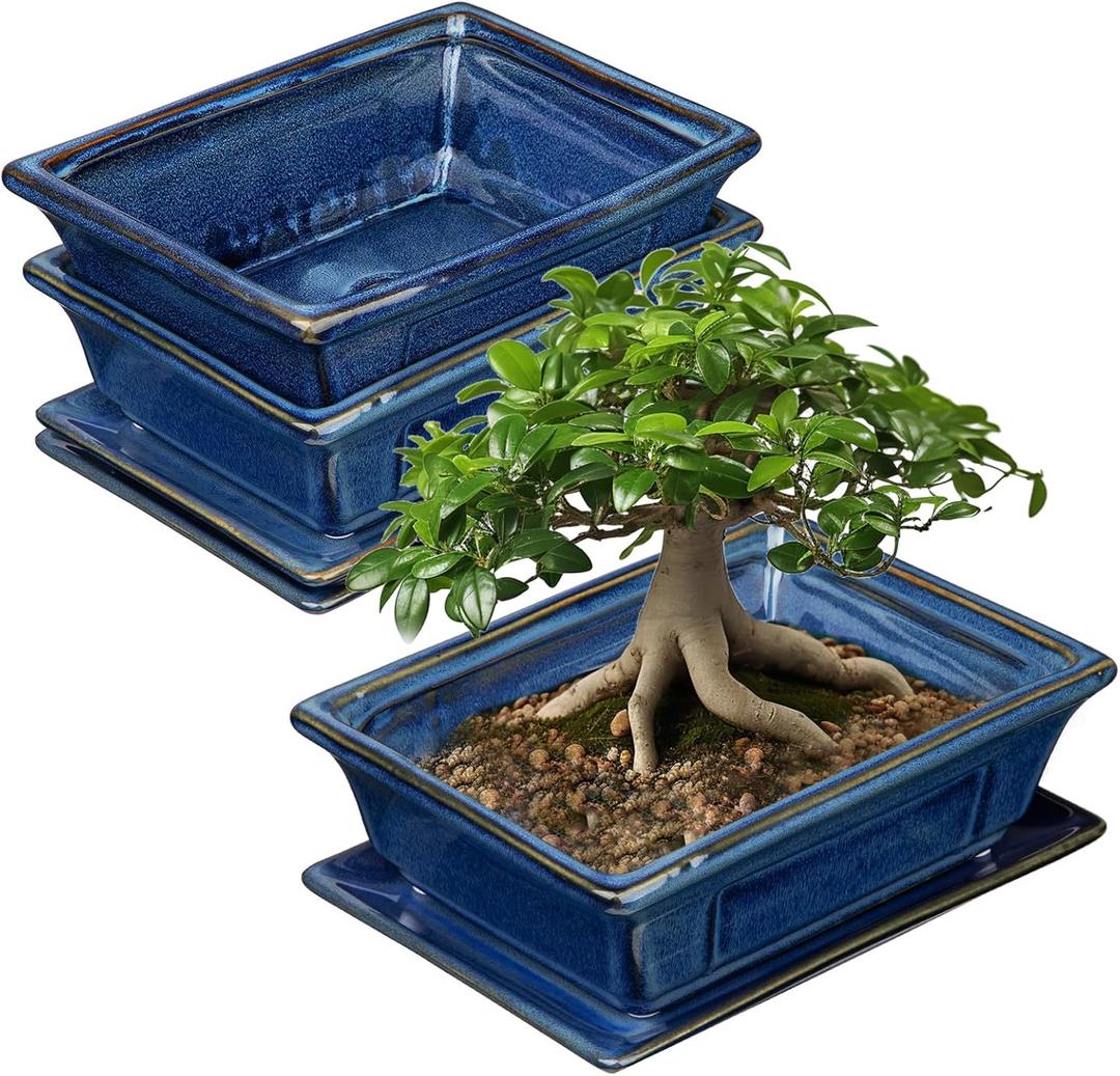 Villa Como Bonsai Pots Small Shallow Succulent Planters for Live Bonsai Trees Set of 2, 7.5" Ceramic Pot for Succulents Indoor with Drainage Hole and Saucer, Outdoor Cactus Plant Bonsai Pot (Blue)