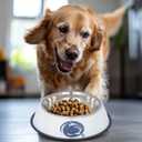 The Memory Company | Licensed NCAA Bling Team Logo Stainless Pet Bowl