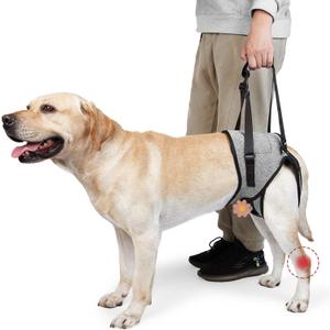 ROZKITCH Dog Lift Harness, Pet Rear Support Aid Veterinarian Approved Sling for Old K9 Help with Poor Stability, Back Leg Hip Disabled Joint Injury Elderly Arthritis ACL Rehabilitation Rehab Grey Medium