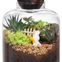 Yangbaga Large Glass Terrarium Succulent Plant Terrarium House for Plant/Moss Ball/Glass Fish Tank Mini Table with Wood Base & Ball lid Office Home Decoration