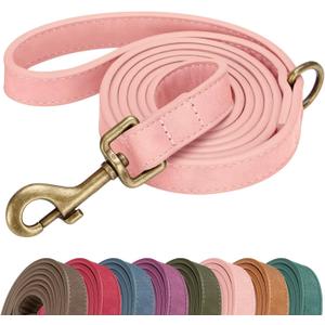 Didog Stylish PU Leather Dog Leash for Large Dogs, Easy to Clean 5ft Pink Dog Leashes for Medium Dogs, Cute and Fashionable for Walking, Running and Training,Pink, M (3/4''x 5FT)