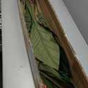 Artificial Bird of Paradise Plant, 4FT Faux Tropical Palm Tree with Ginger Flower, 48Inch Curcuma Alismatifolia Flower Plant