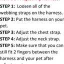 Best Pet Supplies Voyager Step-in Lock Pet Harness w Reflective Pet Leash Combo Set with Neoprene Handle 5ft - Supports Small, Medium and Large Breed Puppies/Cats - Turquoise Set, XS