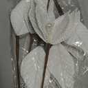 Janinka 6 Pcs Extra Large Flowers 22'' 12'' White Magnolia Velvet Artificial Flowers Wedding Party Favors Large Artificial Poinsettia Ornaments for Wedding Bridal Shower Birthday Party