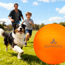 Orange Dog Ball Toy