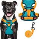 MIDOG No-Pull Dog Harness | Adjustable & Reflective Pet Harness Leash Set for Small Medium Large Dogs Walking, Training| No Choke, Front Clip, Soft Padded Vest with Easy Control Handle - Blue, L