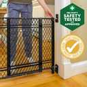 Ingenuity Doorway 42W Series Dog and Baby Gate, Indoor Outdoor, Won't Rust or Fade, Plastic Panel, Fits 23-42" Openings, 24 Tall
