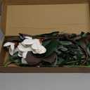 White Silk Magnolia Flowers with Olive Branches for Vases Real Touch White Flower Combo Artificial Olive Branches 30" Long Stem Artificial Flowers for Tall Vase Home Decor Indoor (White)