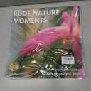 10 x 2026 Funny Wall Calendar 12 Month, Large Wall Calendar 2026 from January to December 2026, Natures Pics Funny Gag Gift for Adults, White Elephant Gift, Thick Glossy Paper, 12"x24" Open