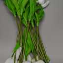 Beferr White Tulips Artificial Flowers 18Pcs Faux Silk Tulip Real Touch Tulip Fake Flowers Bouquets Arrangements for Mother's Day Easter Spring Flowers Gifts Home Table Decor