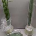 4ft 2pcs Large Artificial Plants Fake Palm Tree Tropical Palm Leaves Faux Palm Plants Tall Tree Indoor Real Touch Plastic Monstera Leaves for Home Garden Outdoor Office Decor (4ft/125cm-2pcs)