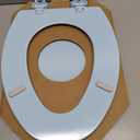 Bemis 1500EC 464 Dresden Blue Elongated Molded Wood Toilet Seat with Easy-Clean & Change Hinge, 1 Pack