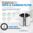 Bagean 360 Combi Glass HEPA Filters Compatible with Dyson Air Purifier Filter TP07 HP07 TP10 HP10 Pure Cool Hot Fan Dyson Filter Replacement - H13 True HEPA and Carbon Purifies 99.98% Particles (1-Pk)