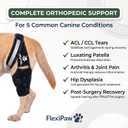 Dog Knee Brace Rear Leg Support with Freezable Gel Pack, Removable Stabilizer Rods, Reflective Straps, for ACL/CCL Injury, Arthritis & Post-Surgery Recovery (Medium)