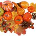 winemana Thanksgiving Fall Decorations for Home-6pcs Mini Pumpkins & 2pcs Gourds, 30pcs Leaves & 10pcs Acorns, 2pcs Pinecones Centerpiece Set-Harvest Decor for Table Mantel (Largest: 4.5" x 2.1")